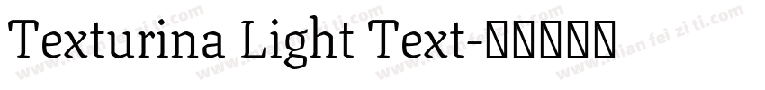 Texturina Light Text字体转换